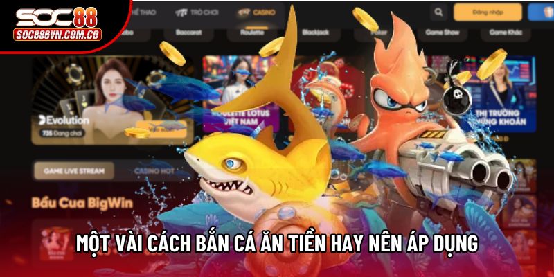 Một vài cách bắn cá ăn tiền hay nên áp dụng Một vài cách bắn cá ăn tiền hay nên áp dụng