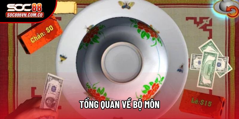 Tổng quan về bộ môn